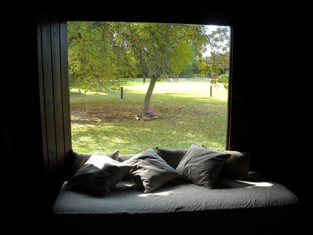 Lavandas En Pilar Lodge