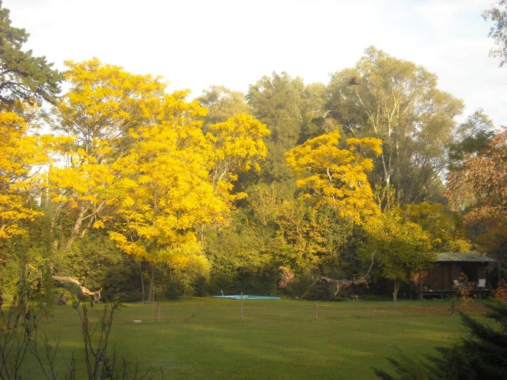 Lavandas En Pilar Pilar (Buenos Aires)