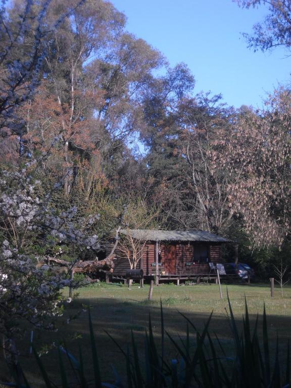 Lavandas En Pilar Lodge