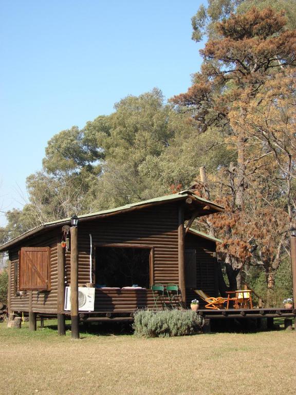 Lavandas En Pilar