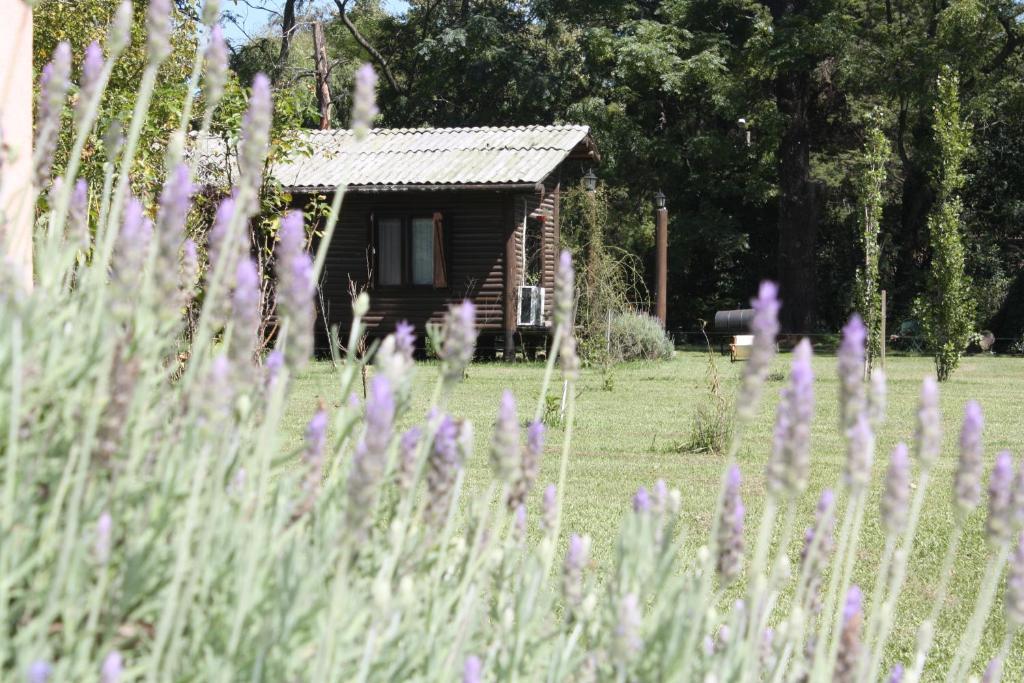 Lavandas En Pilar Lodge *